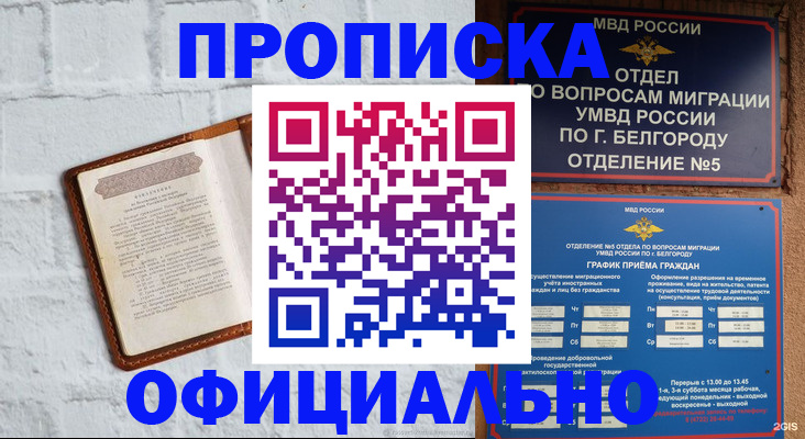временная регистрация для школы в Камчатском крае